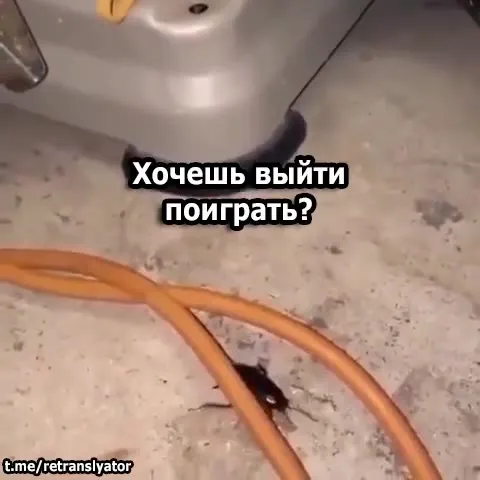 Привет, дружок, хочешь выйти поиграть?