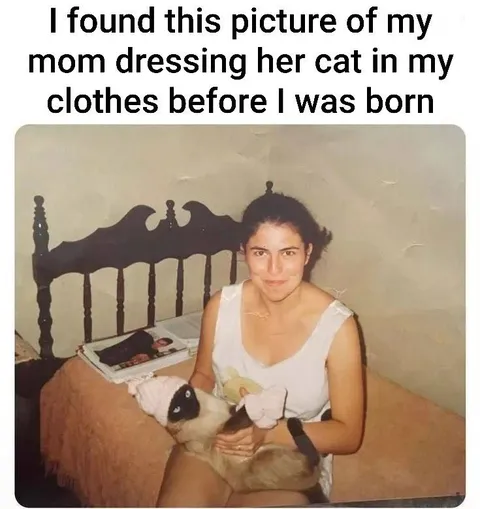 Mom Dressed Her Cat in My Clothes