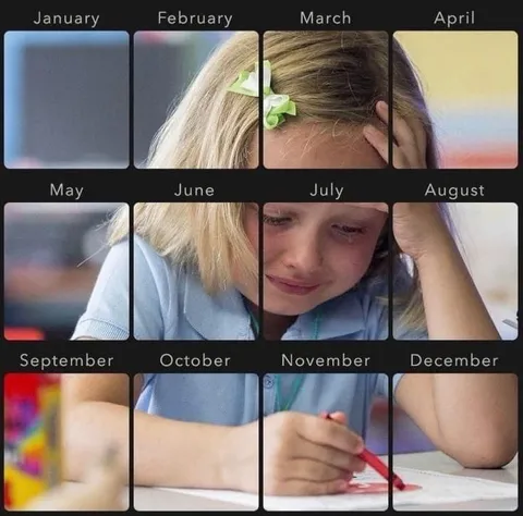 A Child’s Year at School