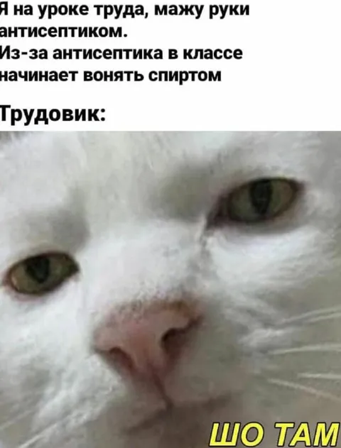 Трудовик учуял спирт