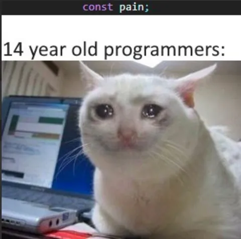 14 Year Old Programmers