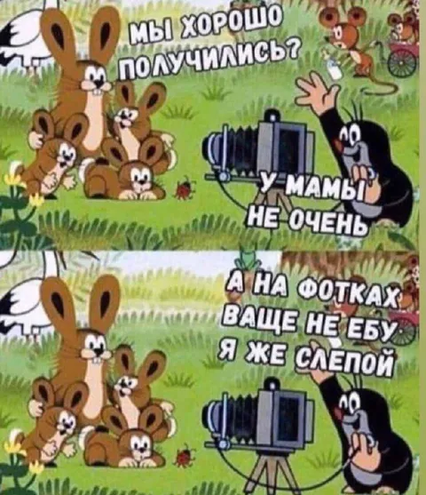 Мы хорошо получились?