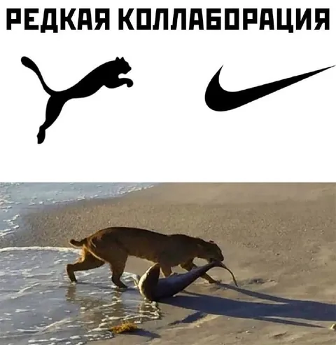 Редкая коллаборация Puma и Nike