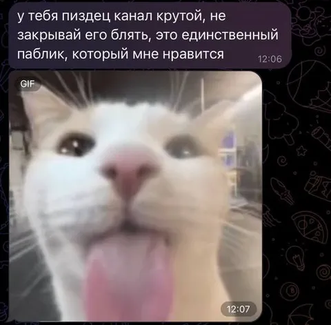 Кот лижет камеру
