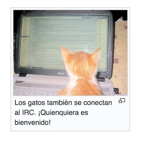 Gatos conectados al IRC
