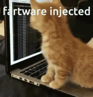 fартware injected kitten