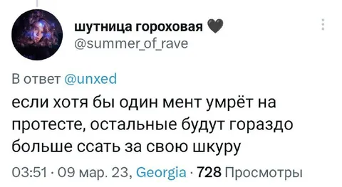 Мент погибает на протесте
