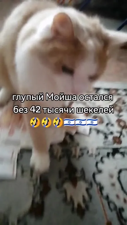 Мойша потерял 42 тысячи шекелей