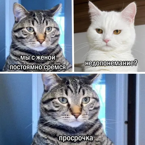Ссоры из-за просрочки