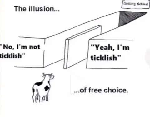 The Illusion of Free Choice