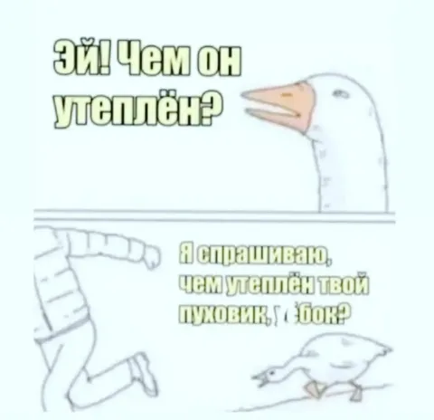 Чем утеплён твой пуховик
