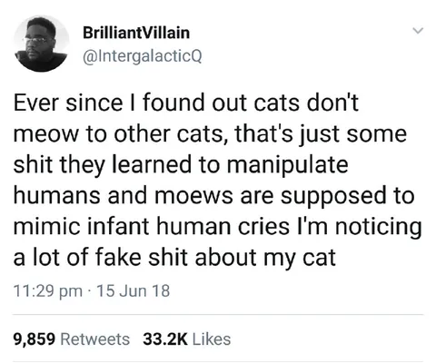 Cats Fake Their Meows