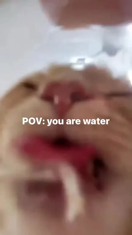 POV You Are Water