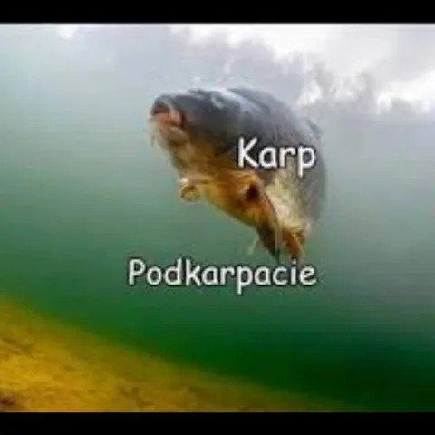 Karp nad Podkarpaciem