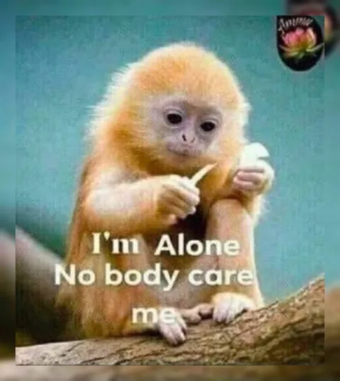 I'm Alone Nobody Cares
