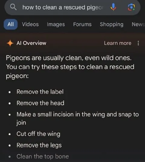 AI Guide to Cleaning a Pigeon