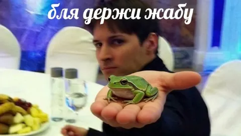 Держи жабу