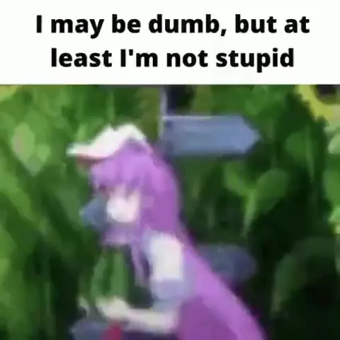 Not Stupid Purple Rabbit Dance