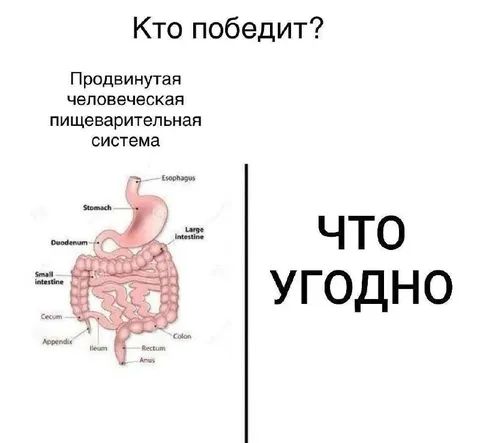 Продвинутая пищеварительная система против еды