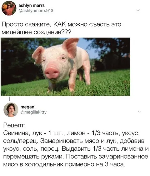 Как съесть милого поросёнка