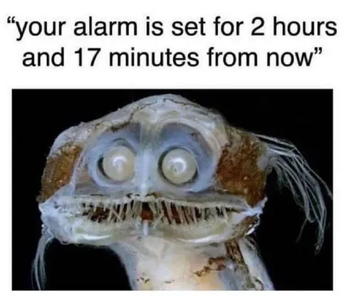 Your alarm is set