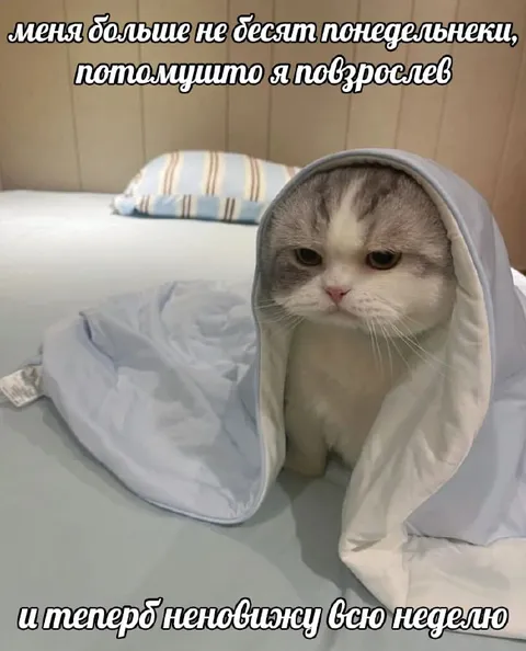 Ненавижу всю неделю