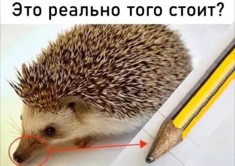 Это реально того стоит?