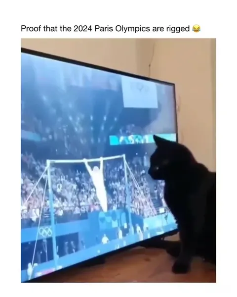 Cat Proves Olympics Are Rigged