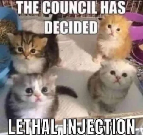 The Council Has Decided