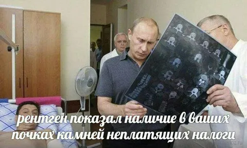 Камни в почках, не платящие налоги