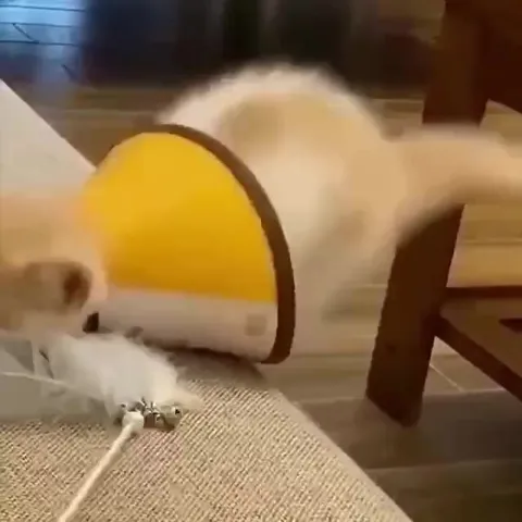 Котёнок атакует игрушку