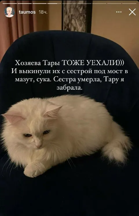 Тару выбросили под мост