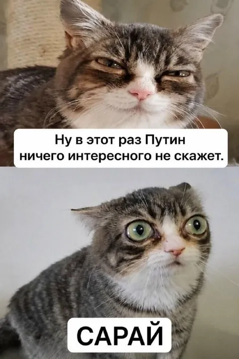 Путин и слово сарай