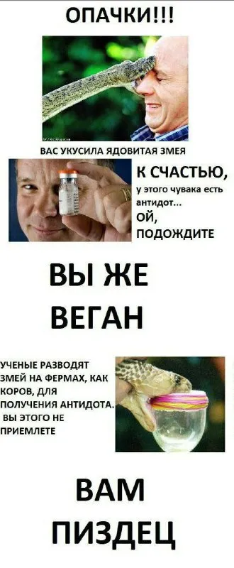 Веган после укуса змеи