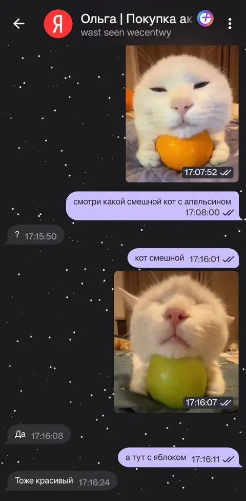 Кот с апельсином и яблоком