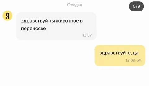 Вежливый ответ на оскорбление