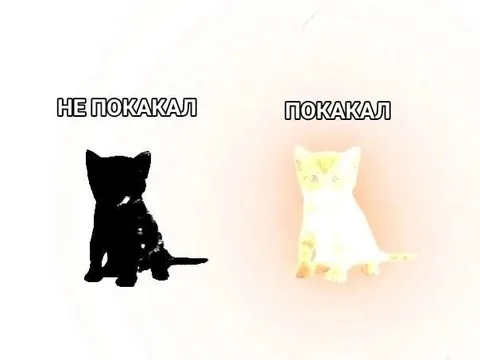 Не покакал — покакал