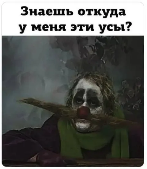 Откуда у меня эти усы