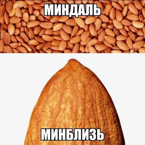 Миндаль и минблизь