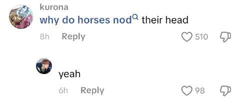 Why Do Horses Nod Their Head