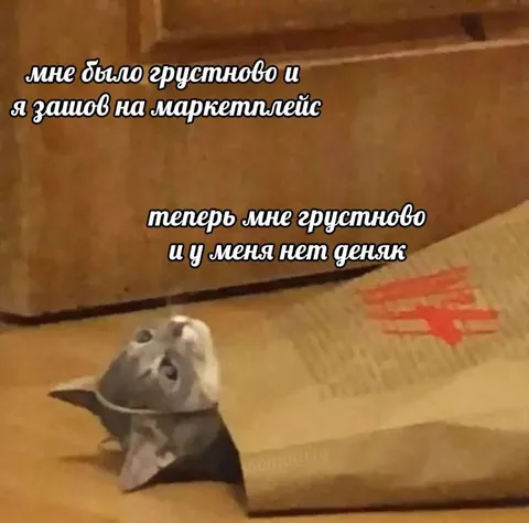 Грустный хомяк без денег
