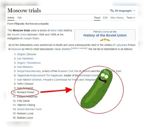 Richard Pickel in Moscow Trials