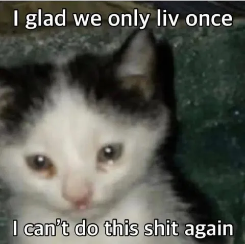 Crying Cat Only Lives Once