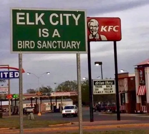 Bird Sanctuary Beside KFC