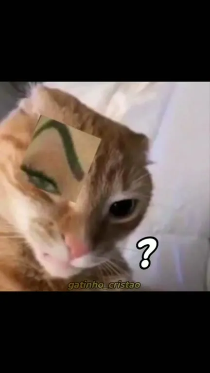 Gatinho cantando aleluia