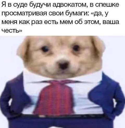 Щенок-адвокат с мемом