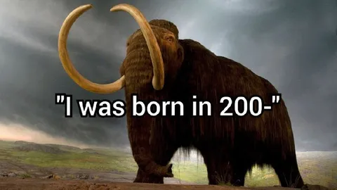 Born in 200- Mammoth