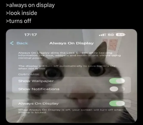 Always On Display Cat