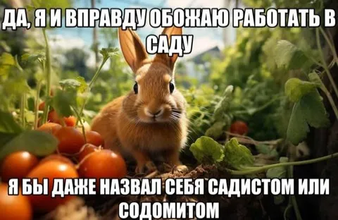 Кролик любит работать в саду