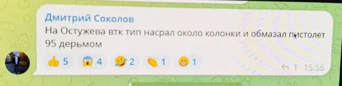 Пистолет обмазали дерьмом